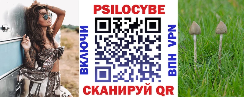 Псилоцибиновые грибы Psilocybine cubensis  закладка  Верхний Уфалей 
