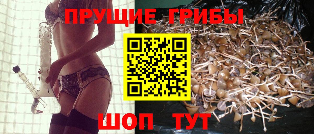 Галлюциногенные грибы Psilocybine cubensis  как найти   Верхний Уфалей 