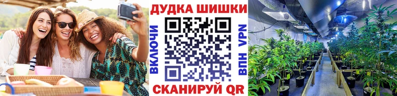Бошки Шишки план  где найти наркотики  Верхний Уфалей 